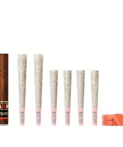 Luigi Blood Orange Fattone